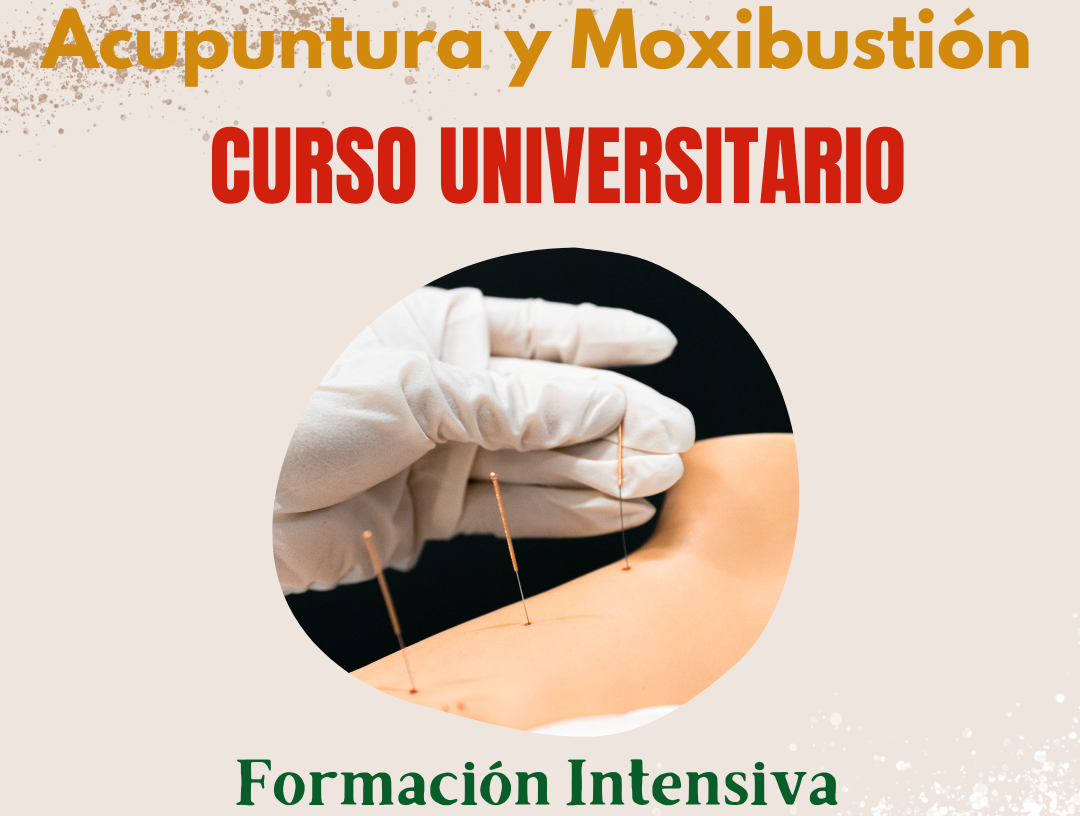 CURSO DE ACUPUNTURA INTENSIVO
